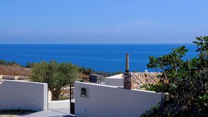 Una proprietà costiera con vista sul mare, mura in pietra e un albero.