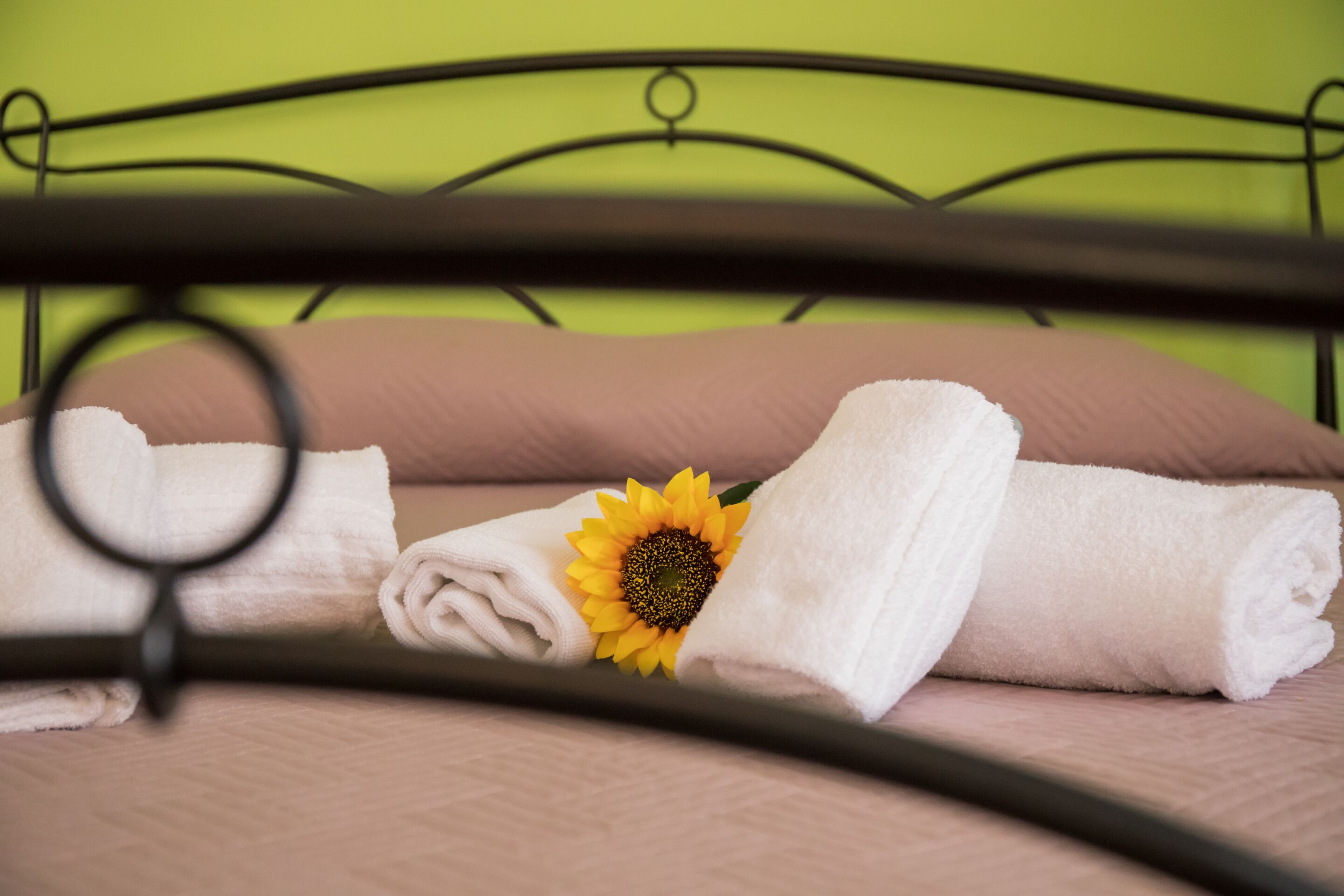 Photo - B&B Cento Passi Dalle Mura