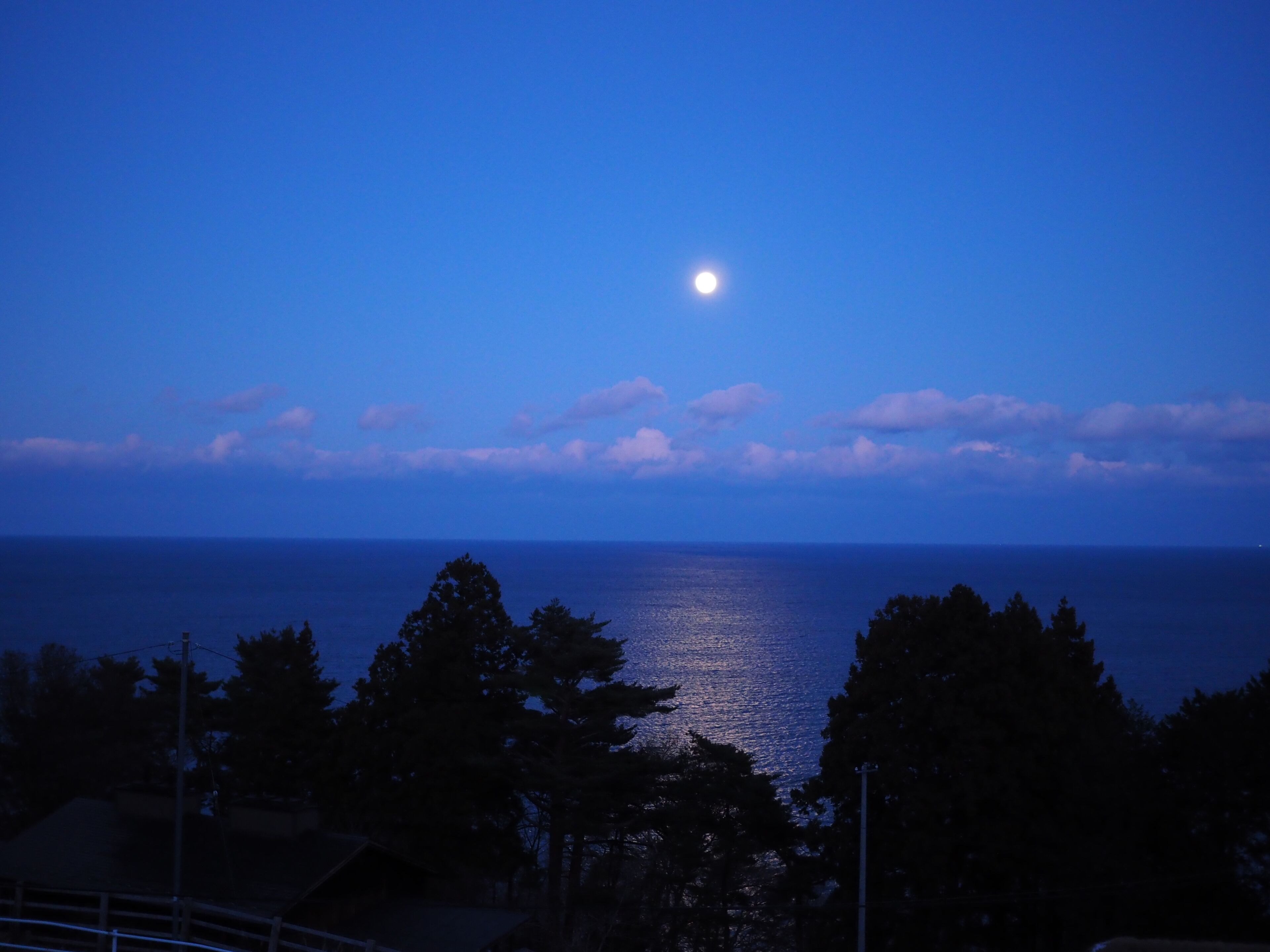 Twin Room | Free WiFi