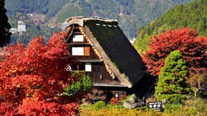 A traditional wooden house with a thatched roof, surrounded by autumn foliage and mountains in the background. - Gero Onsen Kanko Hotel Yumotokan (Gero)