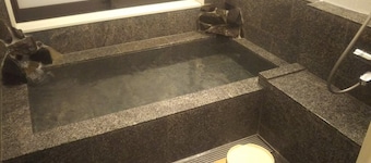 Ryotei Saigetsuan