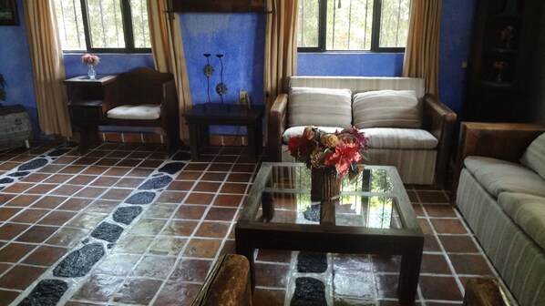 TV, DVD player, foosball, stereo - Authentic Rustic Style Mexican House | Culture and Tradition of Mexico (Emiliano Zapata)