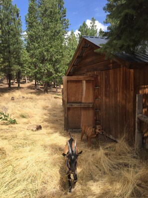 Terrain de lâhĂ©bergement