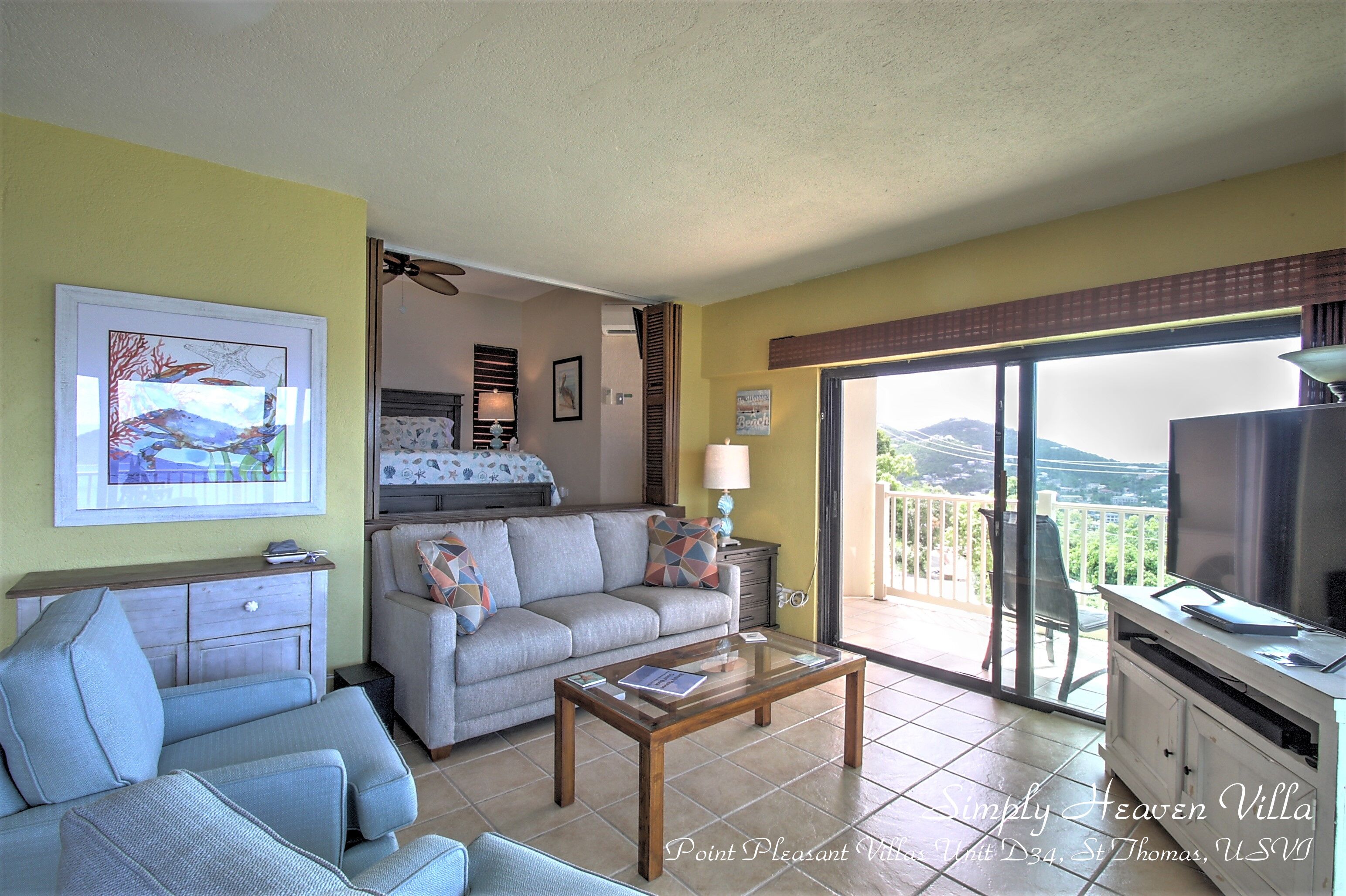 Älytelevisio, DVD-soitin, kirjoja, musiikkikirjasto