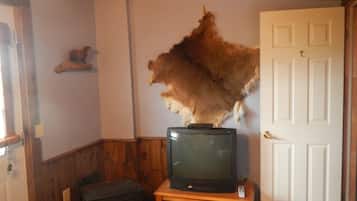 Standard Room, 1 Bedroom, Non Smoking (The Trappers Room) | Televisyen