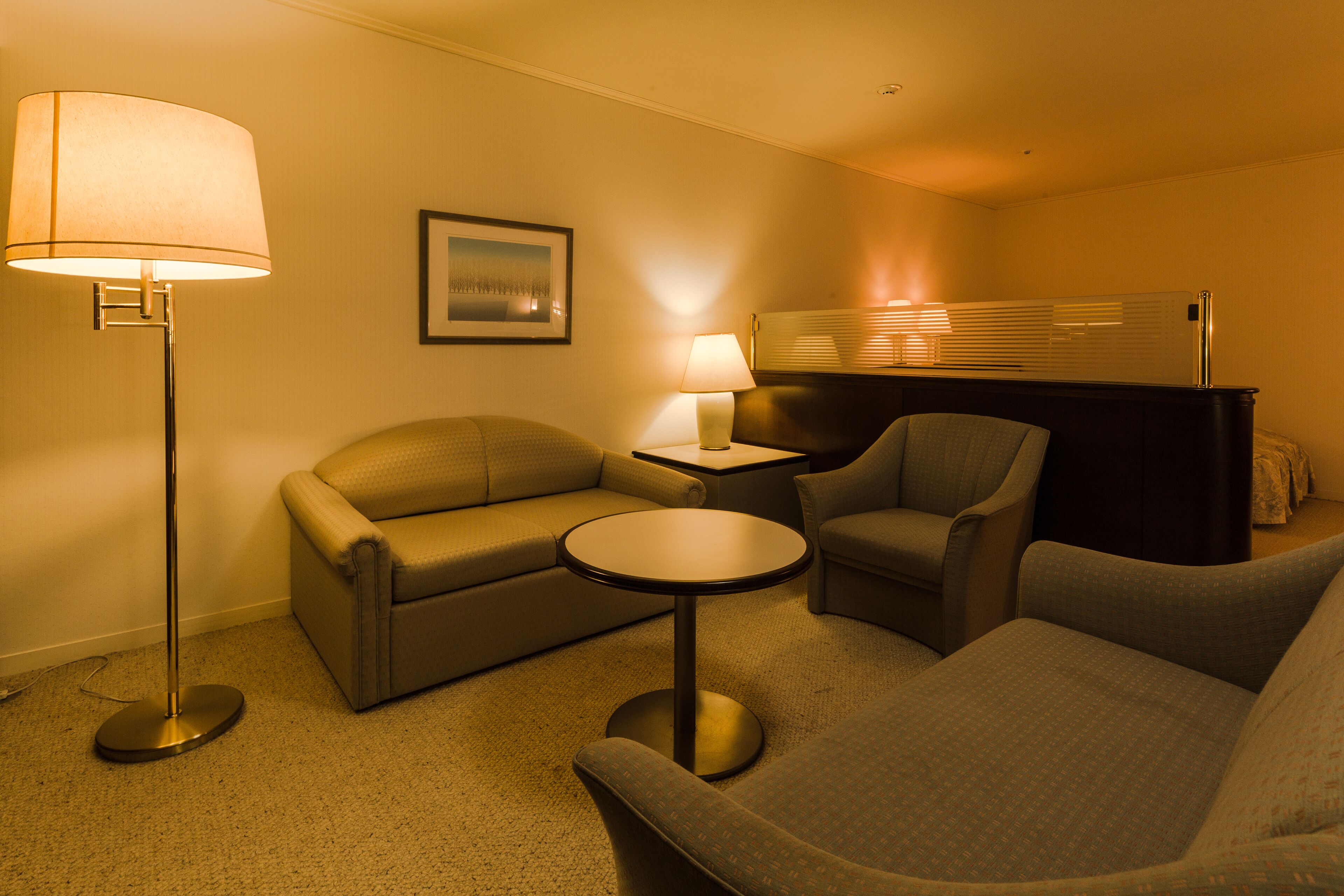 wide twin room, non smoking | in-room safe, desk, soundproofing, free wifi