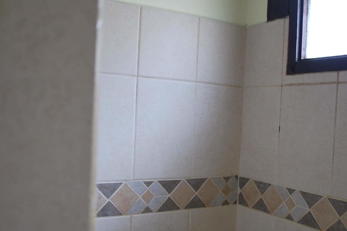 shower, towels, soap, shampoo