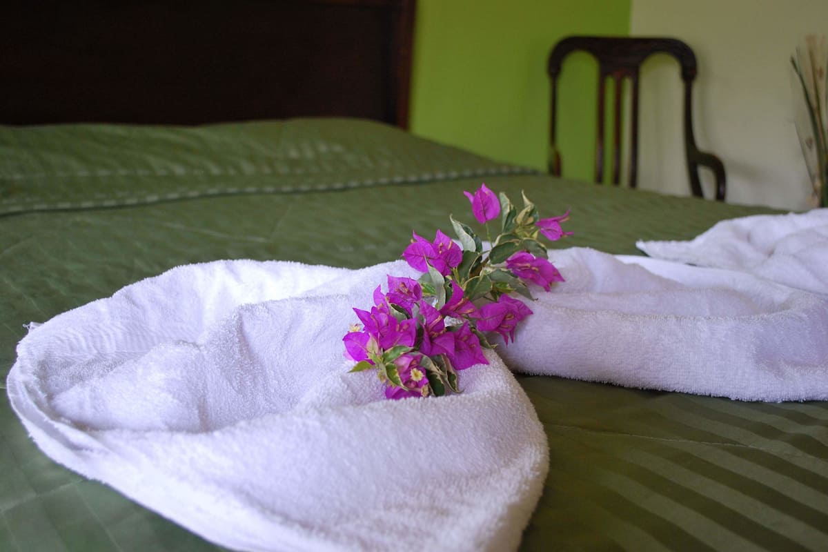 family room, garden view | desk, rollaway beds, free wifi, bed sheets