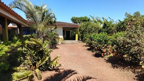 A pathway leading to a building with a tiled roof and a covered porch. - Dos Palmas Studio Apartments (Rio Segundo)