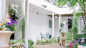 A covered outdoor area with a white wall, a green bench, and a dog wearing a red harness. - Refresh Essential Resort In Karuizawa (Karuizawa)