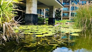 A hotel with a water feature including a pond with lily pads and water lilies, surrounded by tropical plants. - Ohana Manor, Clean and Comfortable, Sleeps 6 (Kapaʻa)
