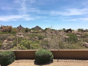 A fenced outdoor area with rocky terrain and sparse vegetation, including small bushes and a hill in the background.