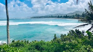 On the beach - Aloha Manor is Elegant Gated Oceanfront Living! (Kapaʻa)