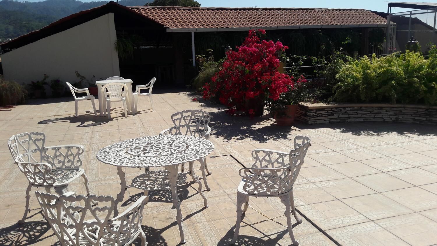 An outdoor patio with a round table and four chairs, surrounded by potted plants and a red flowering bush.