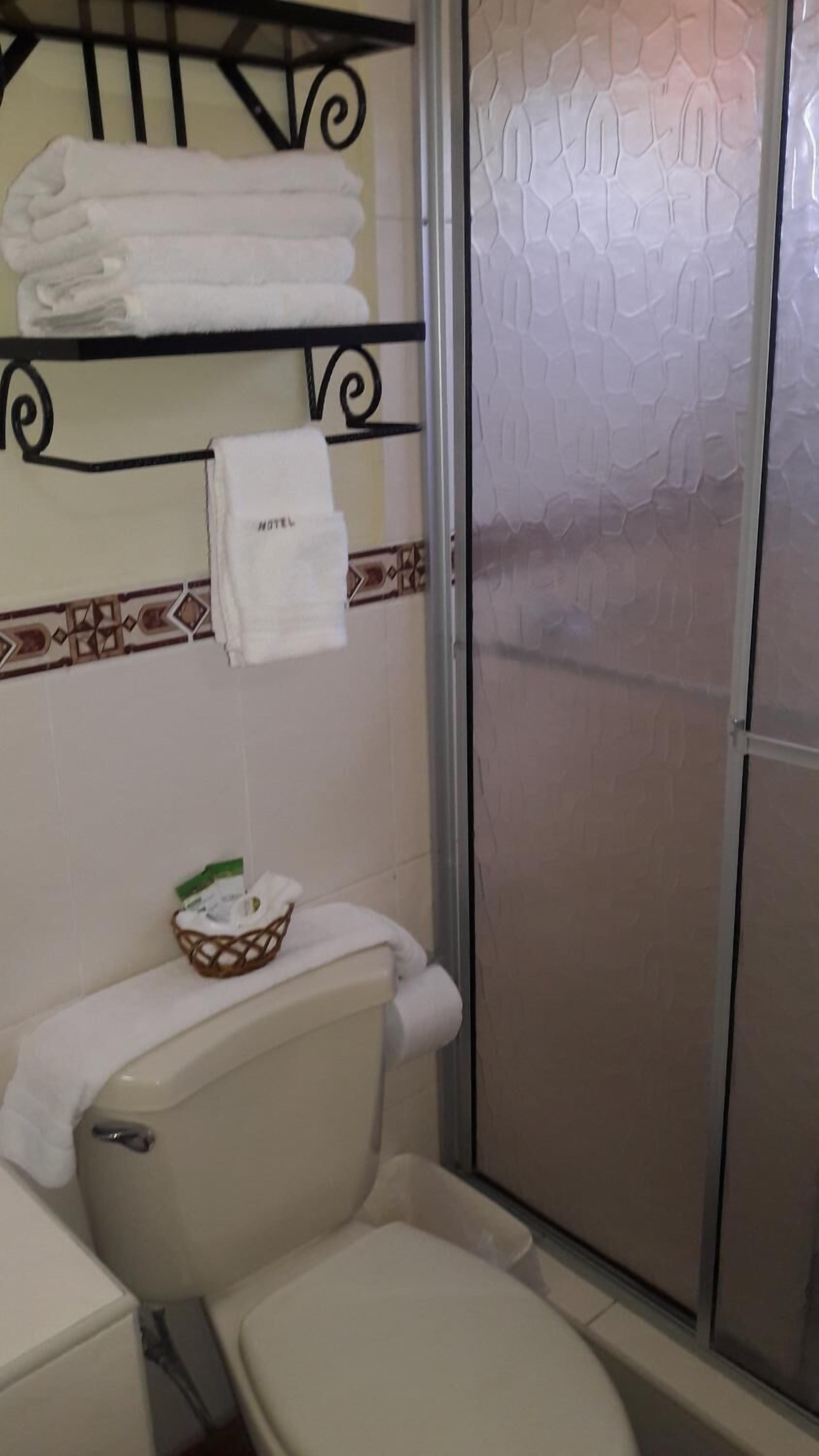 shower, free toiletries, towels