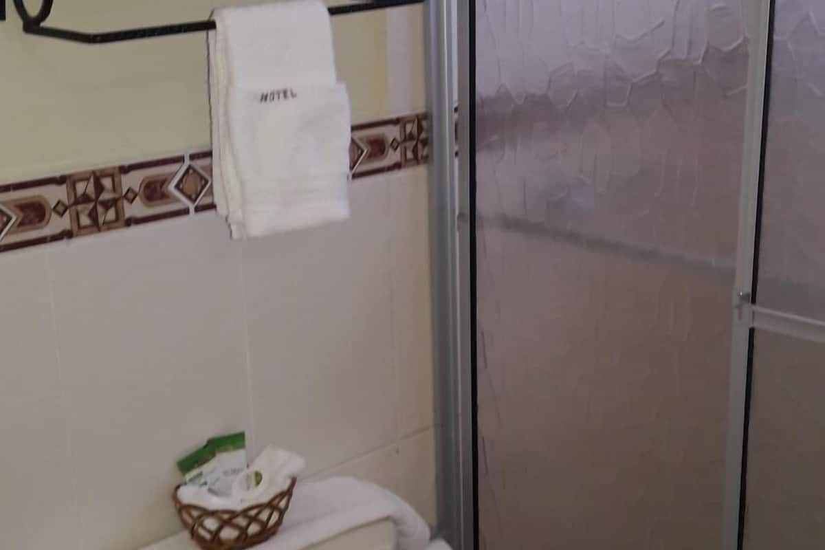 shower, free toiletries, towels