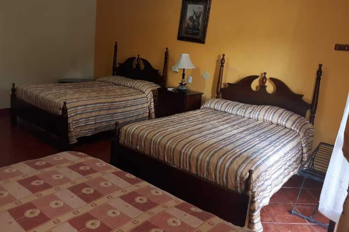 A room with two beds, a nightstand with a lamp, and a framed picture on the wall.