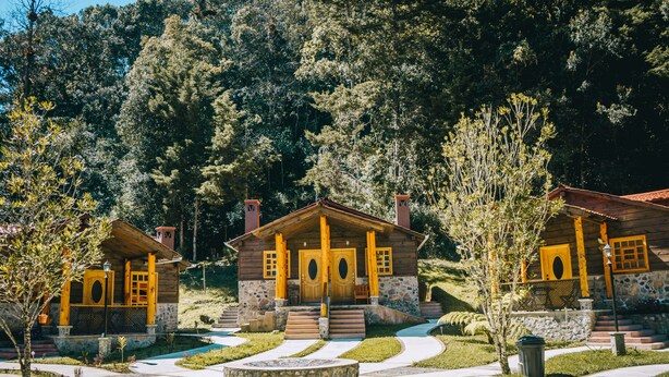 Una hilera de cabañas de madera con escalones de piedra que conducen a la entrada, rodeadas de un jardín ajardinado y un bosque denso.