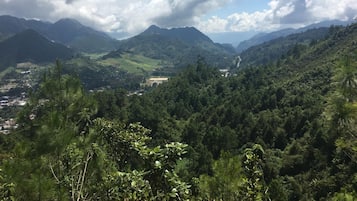 Un paisaje montañoso con bosque denso y un valle.