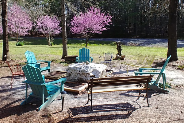 Àrea exterior de l'allotjament