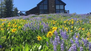A lodge with a stone chimney and large windows, surrounded by a field of wildflowers. - Rustic mountain home with stunning mountain views from the large deck! (Crested Butte)