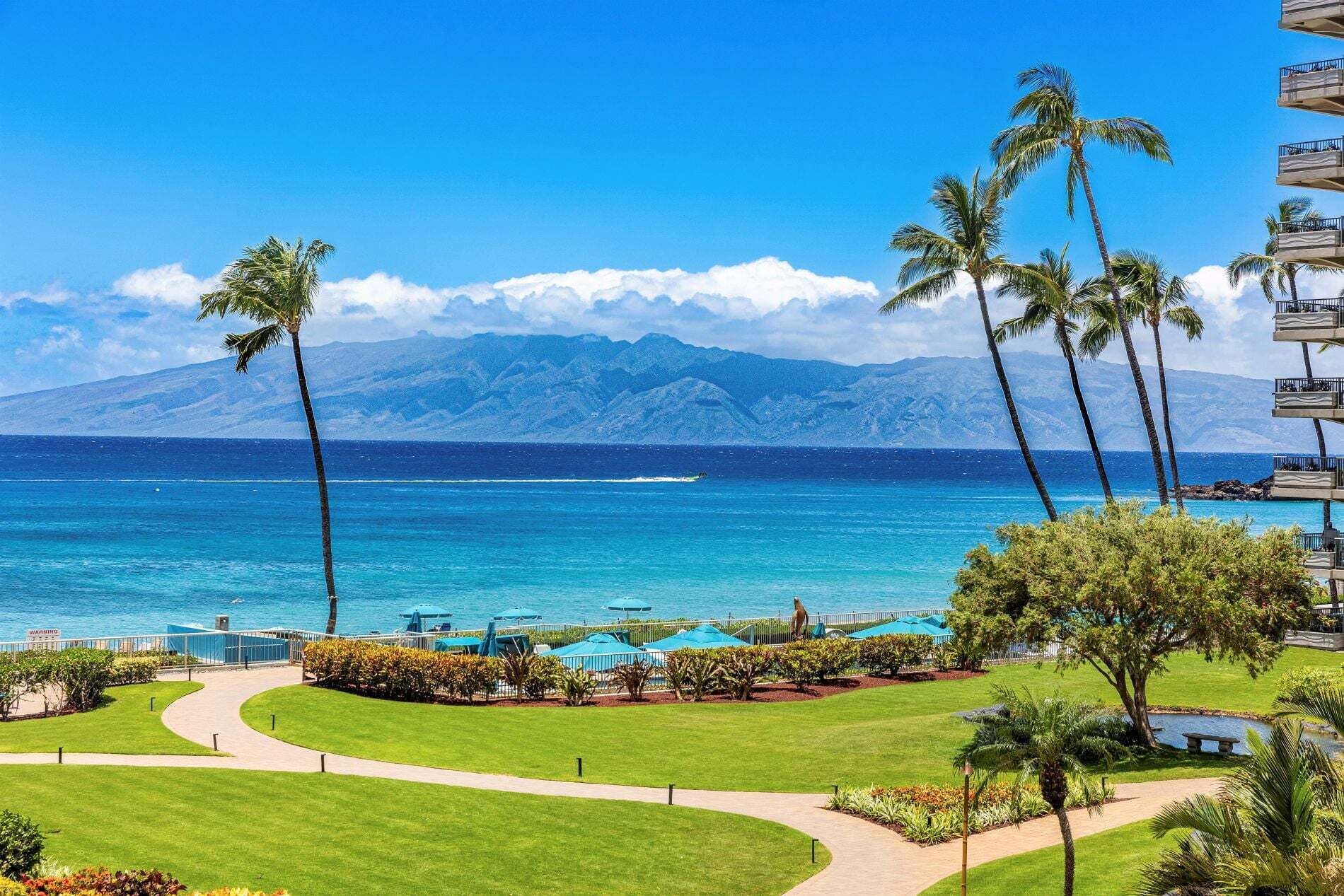 Ein Resort mit Poolbereich, Palmen und Blick auf das Meer und die Berge.