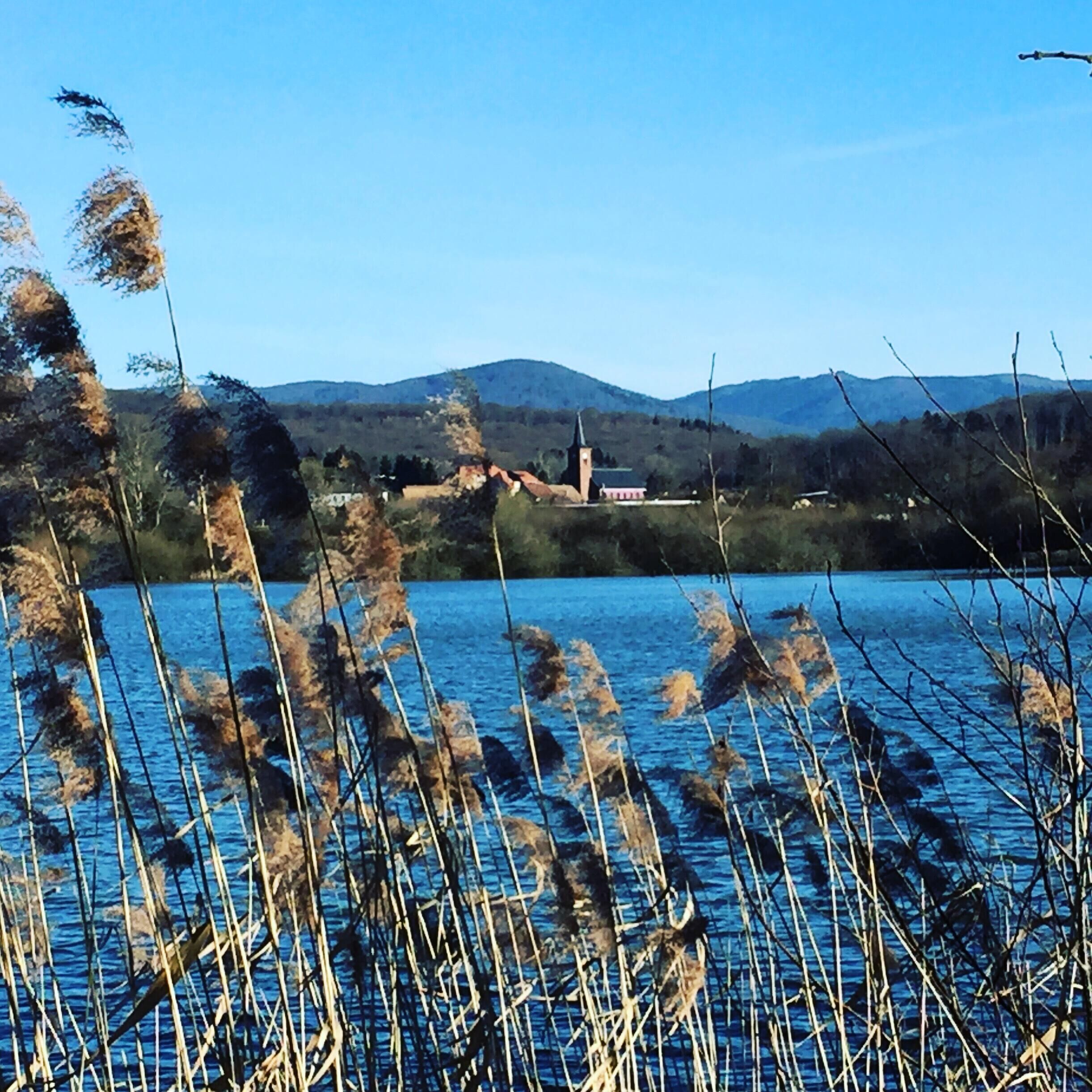 Camping L'Etang des Forges *** - Chalet Trianon 3 Rooms 4 Persons