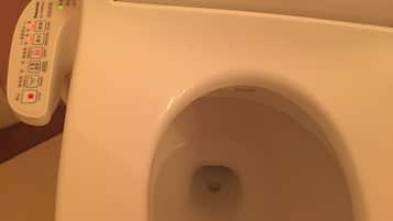 Free toiletries, hair dryer, slippers, electronic bidet