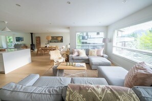 TV connectée, cheminée, livres, chaîne hi-fi