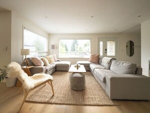 Smart TV, fireplace, books, stereo