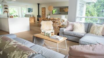 Een smart-tv, een open haard, boeken en een stereo