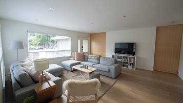 Smart TV, fireplace, books, stereo