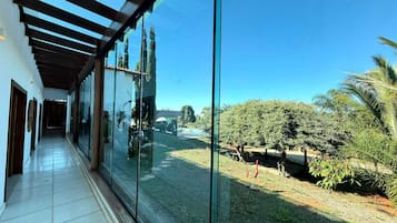 Un couloir aux murs de verre, qui mène à un patio agrémenté d’arbres et offrant une vue sur un ciel dégagé.