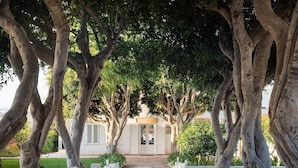 A pathway leading to a building with a white facade and a door, surrounded by trees. - Villa Addolorata - Private villa near Marsala (Marsala)