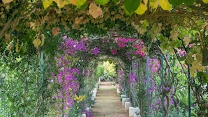 A garden pathway with a pergola covered in purple flowers and green foliage. - Villa Addolorata - Private villa near Marsala (Marsala)