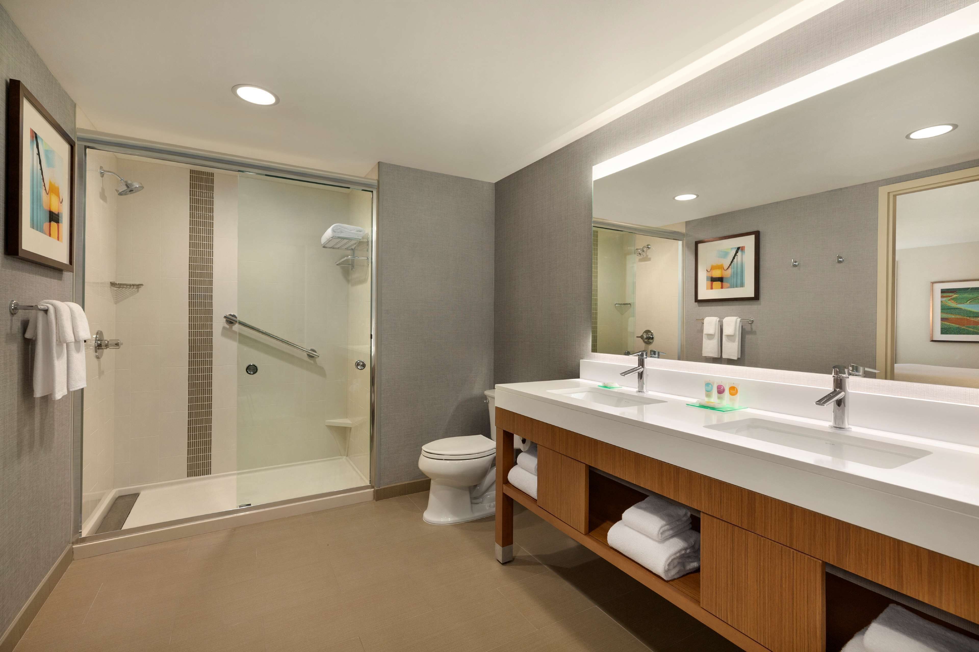 suite, 1 bedroom (1 king bed & 1 sofa bed) | bathroom | free toiletries, hair dryer, towels, soap