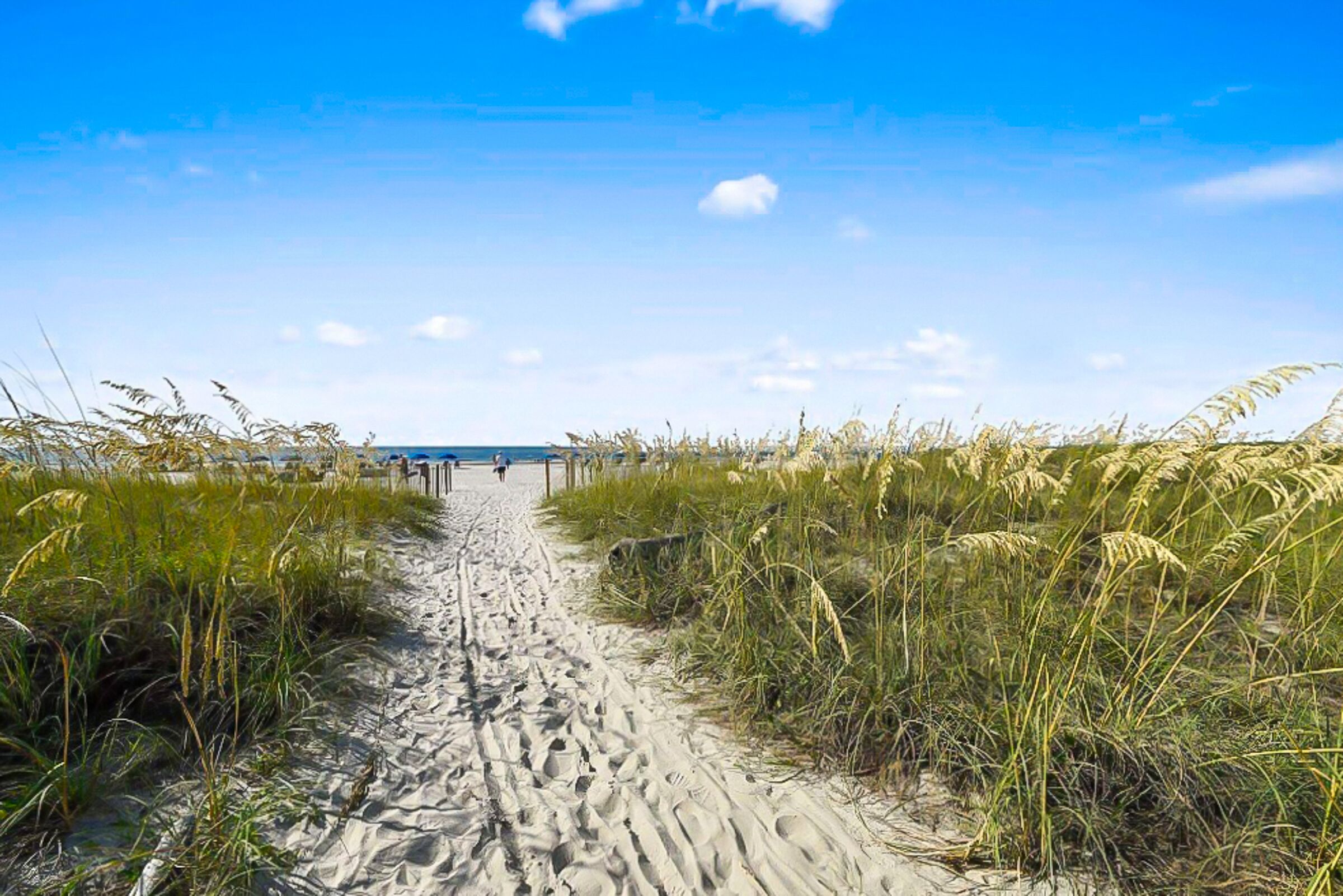 A sandy beach path leading to the sea, surrounded by tall grasses.