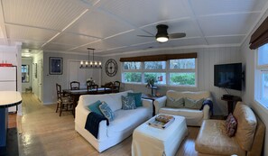 Smart TV, caminetto, lettore DVD, libri