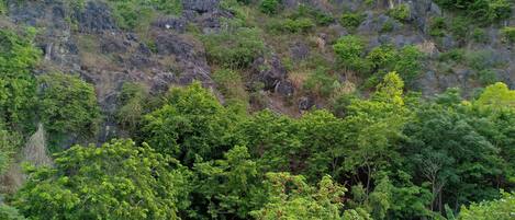 Family Room | Minibar, in-room safe, desk, soundproofing
