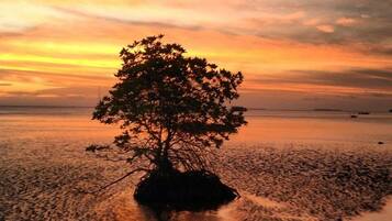En la playa y camastros