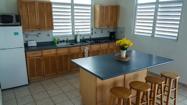 A kitchen with wooden cabinets, a sink, a microwave, a toaster, and a vase with flowers on the counter. - Casa Piña Apartment 2 (Rincon)