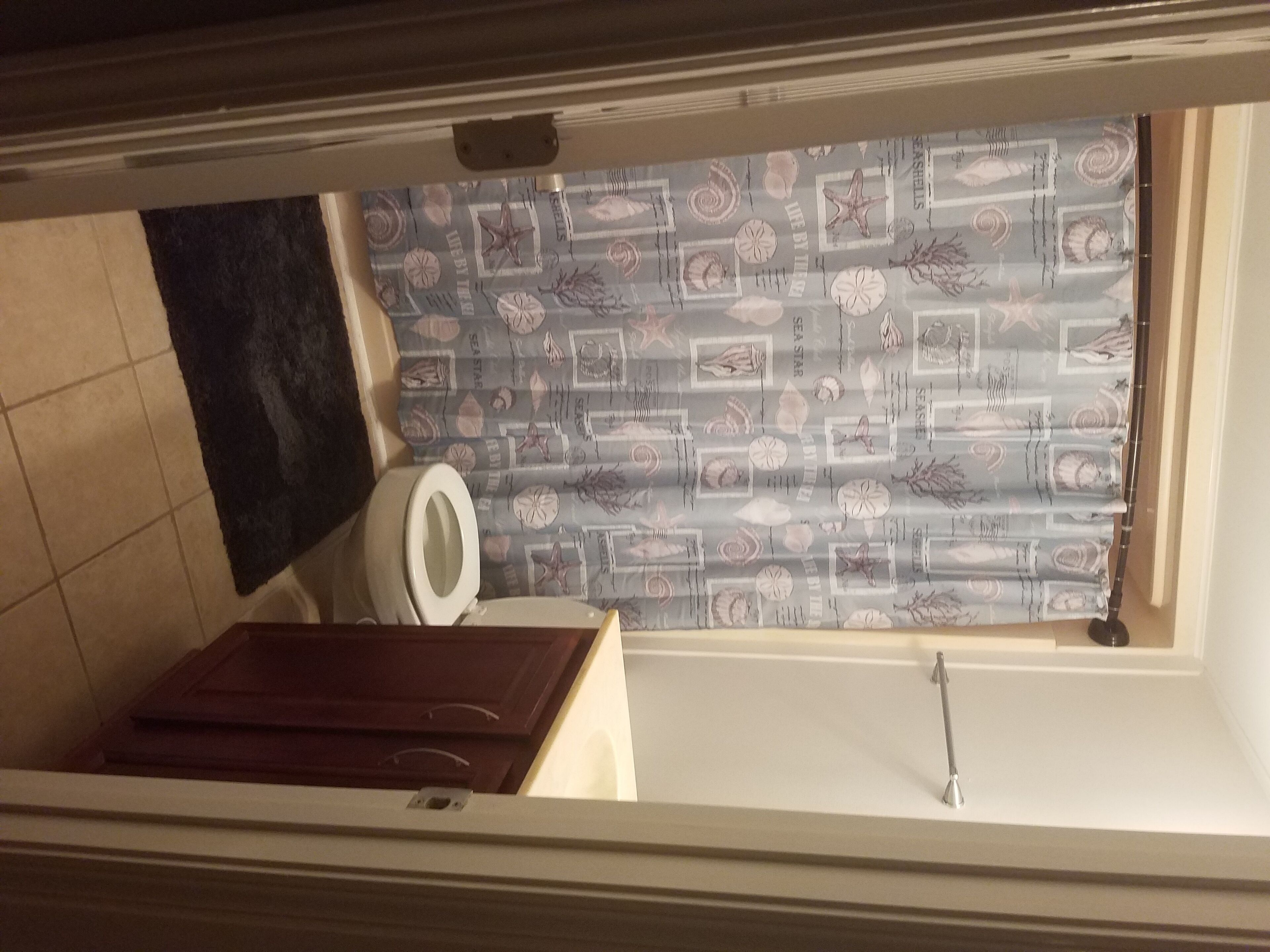 A bathroom with a toilet, a dark rug, and a patterned shower curtain.