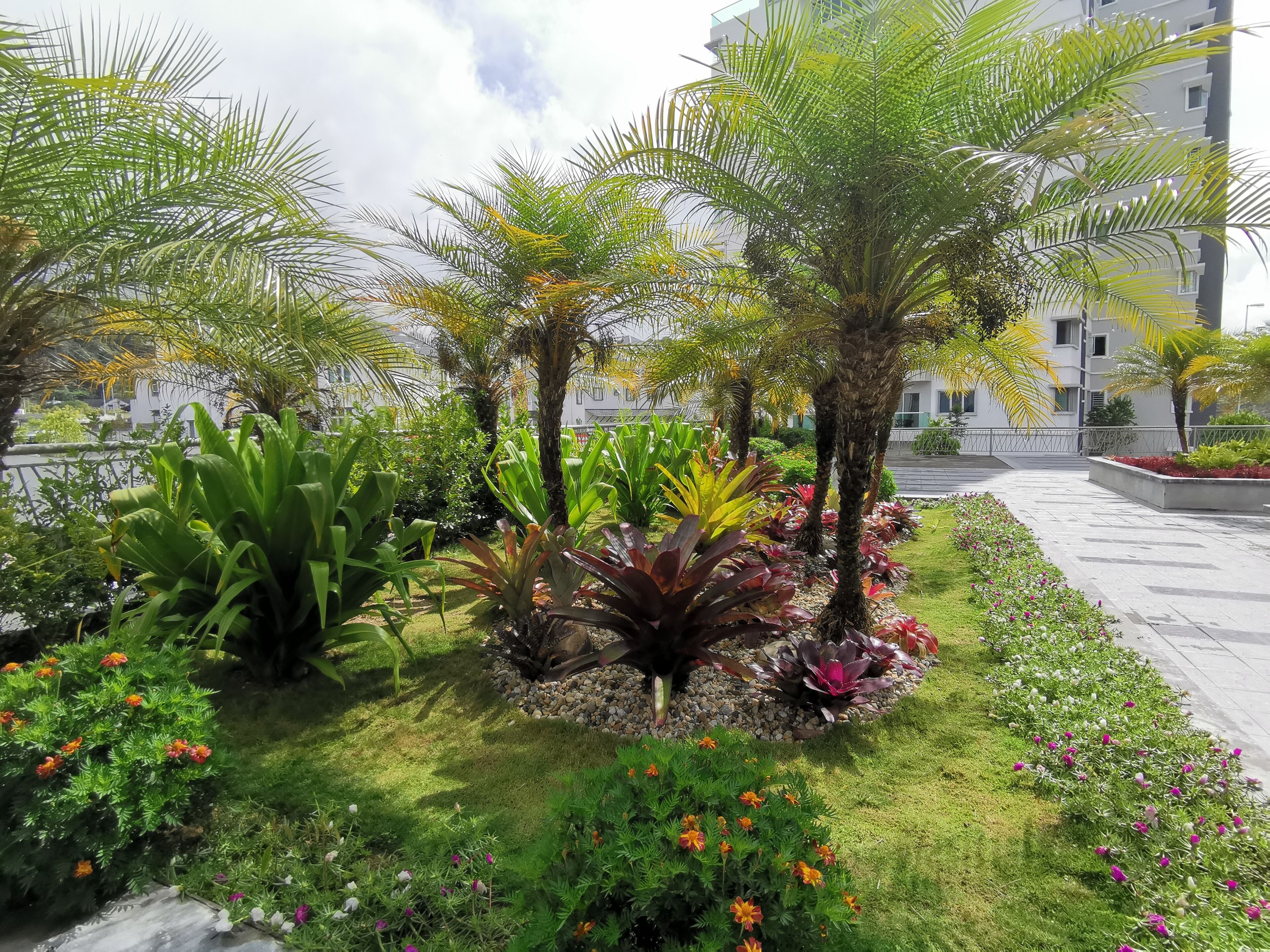 Un jardín ajardinado con palmeras, diversas plantas y flores.