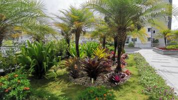 Un jardín ajardinado con palmeras, diversas plantas y flores.
