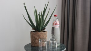 A small round table with a potted aloe vera plant, two clear glasses, and a bottle of spa intense water. - Citystay (Antwerp)