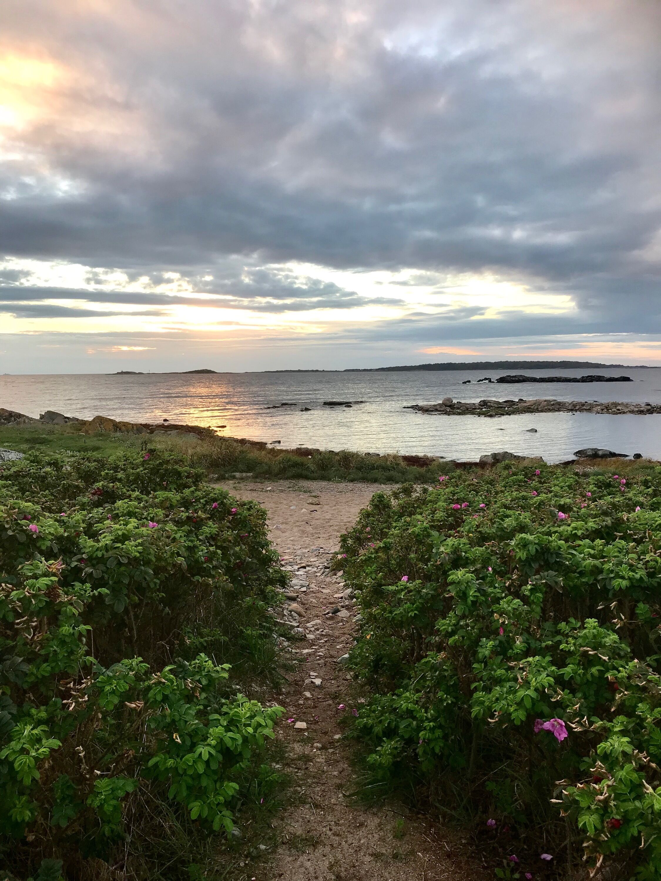 Nära stranden och solstolar