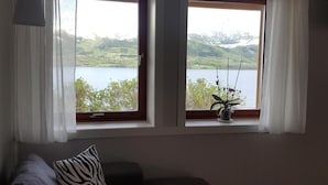 Une pièce avec deux fenêtres donnant sur un lac et des collines. Il y a un coussin sur le canapé et une plante en pot sur le rebord de la fenêtre.