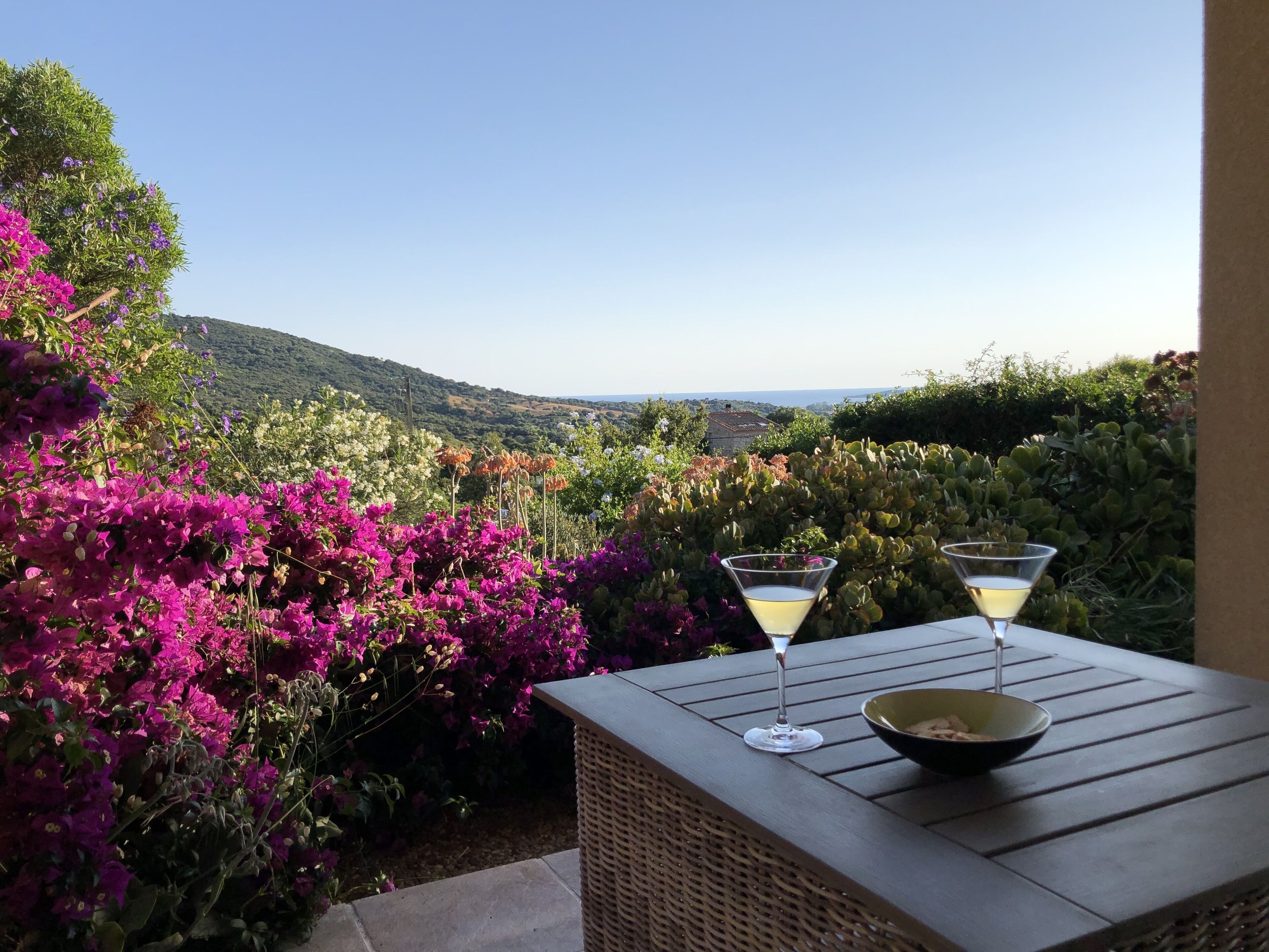 Una mesa con dos vasos de martini y un bol, frente a un fondo de coloridas flores de buganvilla y una vista panorámica.