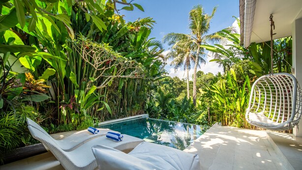 A poolside area with lounge chairs, a hanging chair, and lush tropical vegetation.