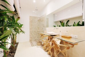 Shower, hair dryer, towels
